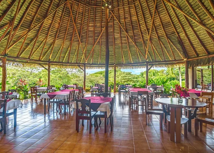 Guacamaya * Paraiso (Guanacaste)
