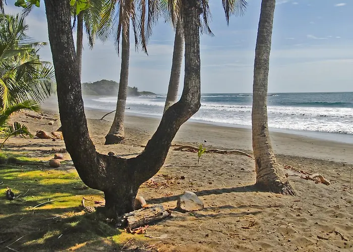 Guacamaya * Paraiso (Guanacaste)